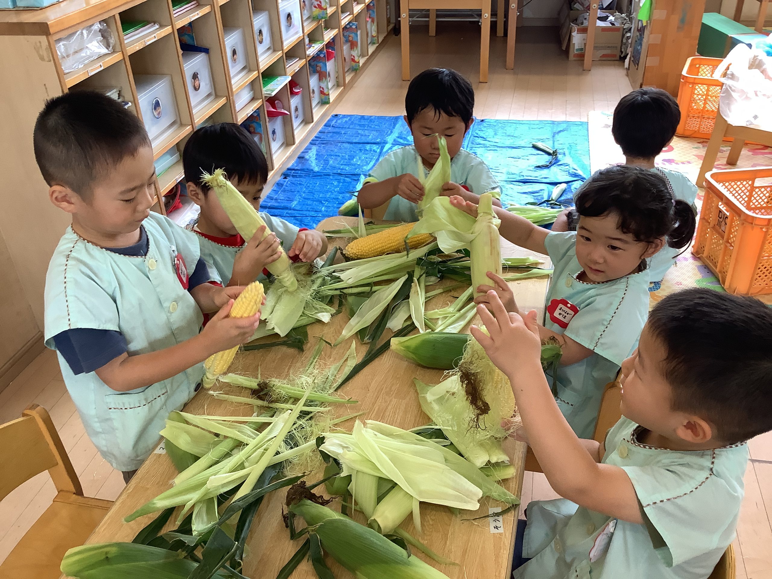食育活動